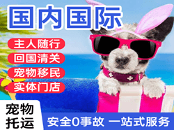 百色航空快运国际宠物托运 【国